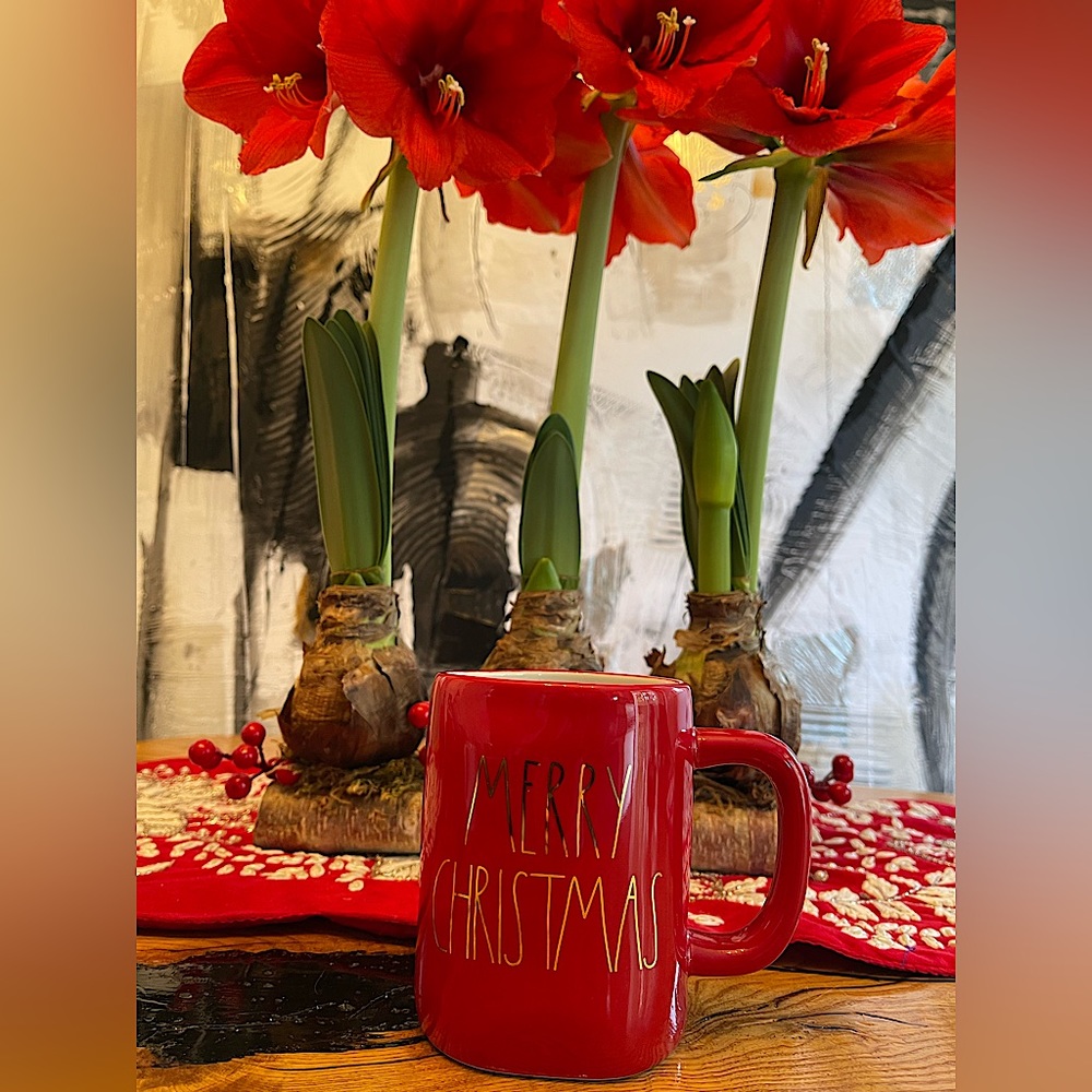 RAE DUNN Mug - Merry Christmas - Red & Gold